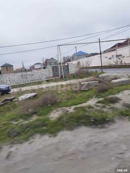 35 sot torpaq sahəsi, Saray qəs.