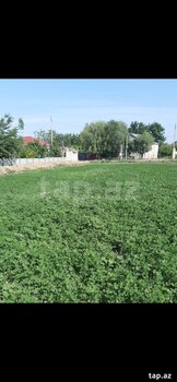 350 sot torpaq sahəsi, Bərdə r.
