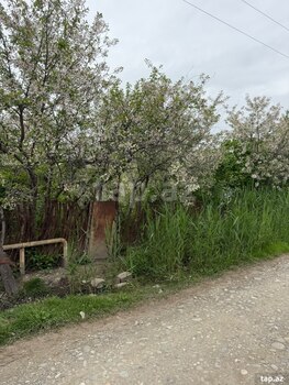 4 sot torpaq sahəsi, Xudat ş.
