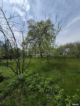28 sot torpaq sahəsi, Vəndam qəs.