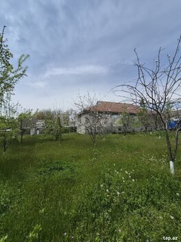 28 sot torpaq sahəsi, Vəndam qəs.