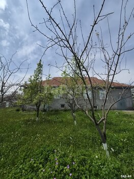 28 sot torpaq sahəsi, Vəndam qəs.