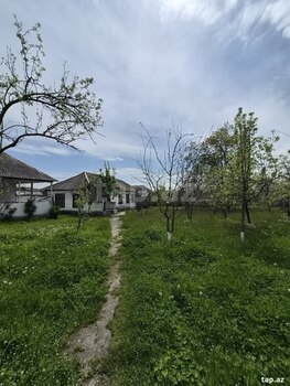 28 sot torpaq sahəsi, Vəndam qəs.