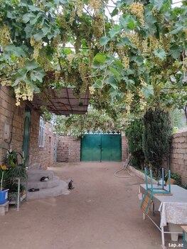 Həyət evi, Qala qəs.