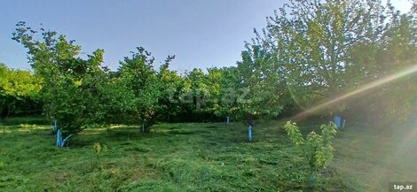 Bağ evi, Xaçmaz ş.