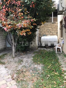 Həyət evi, Şəki ş.