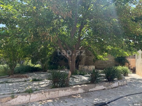 Bağ evi kirayə verilir, Pirşağı qəs.