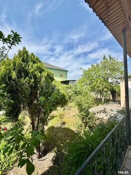 Həyət evi, Saray qəs.
