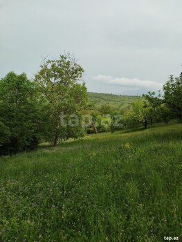 Həyət evi, Quba r.