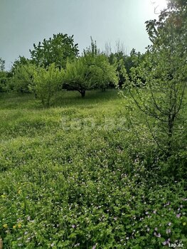 Həyət evi, Quba r.