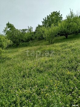 Həyət evi, Quba r.