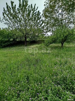 Həyət evi, Quba r.