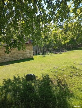 Həyət evi, Oğuz ray.