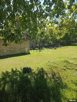 Həyət evi, Oğuz ray.