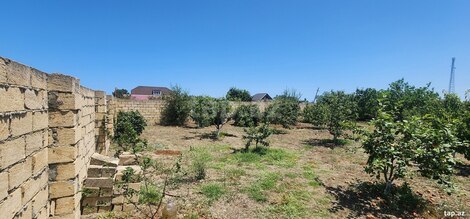 6 sot torpaq sahəsi, Nabran qəs.
