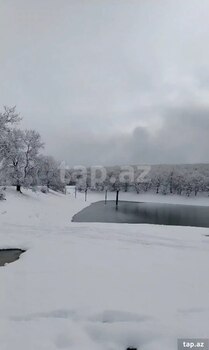 80 sot torpaq sahəsi, Quba r.