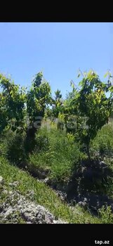 3400 sot torpaq sahəsi, Ağdaş r.