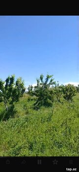 3400 sot torpaq sahəsi, Ağdaş r.