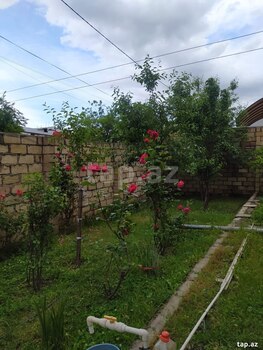 Həyət evi, Gəncə ş.