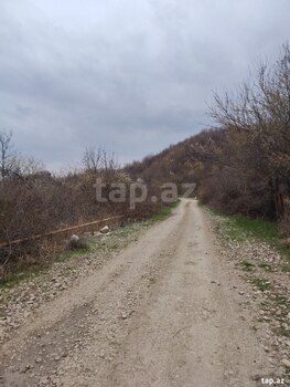 14 sot torpaq sahəsi, İsmayıllı r.