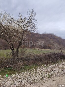 14 sot torpaq sahəsi, İsmayıllı r.
