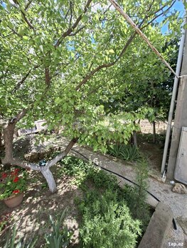 Həyət evi, Sumqayıt ş.
