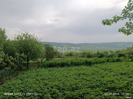 Həyət evi, İsmayıllı r.