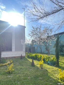 Bağ evi kirayə verilir, Novxanı qəs.