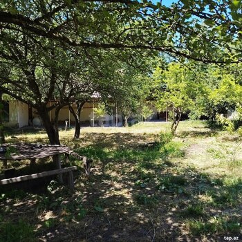 Həyət evi, Şəki ş.