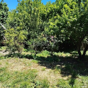 Həyət evi, Şəki ş.