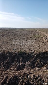 910 sot torpaq sahəsi, Hacıqabul r.