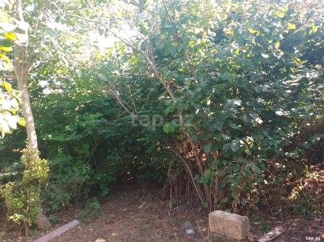 Bağ evi, Xaçmaz r.