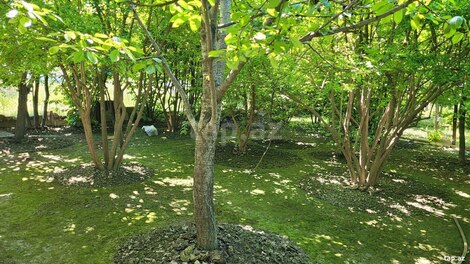 Həyət evi, Xaçmaz ş.