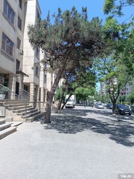 Obyekt icarəyə verilir, Həsən bəy Zərdabi küç.