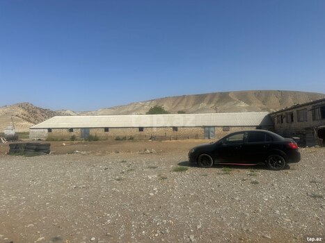 100 sot torpaq sahəsi, Göyçay r.