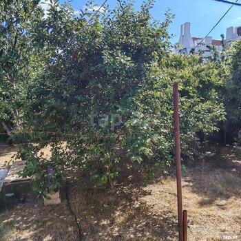 Həyət evi, Şəki r.