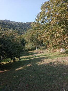 Bağ evi, Zaqatala r.