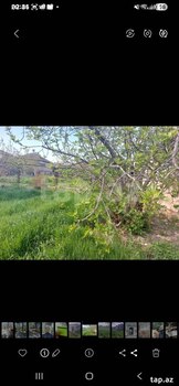 Həyət evi, Xaçmaz ş.
