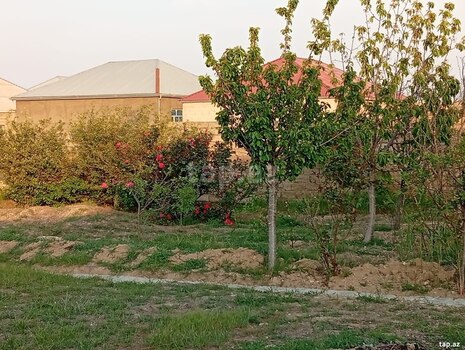 6 sot torpaq sahəsi, Sabunçu r.