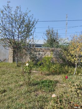 Həyət evi, Mingəçevir ş.