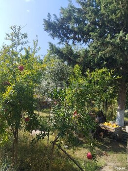 Həyət evi, Mingəçevir ş.