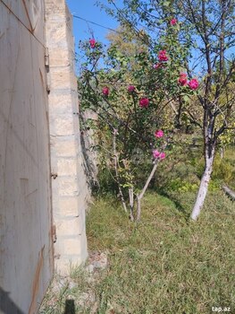Həyət evi, Mingəçevir ş.