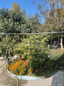 Həyət evi, Mingəçevir ş.