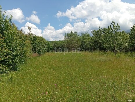 15 sot torpaq sahəsi, Quba r.