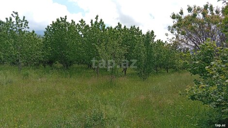 15 sot torpaq sahəsi, Quba r.
