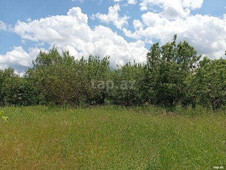15 sot torpaq sahəsi, Quba r.