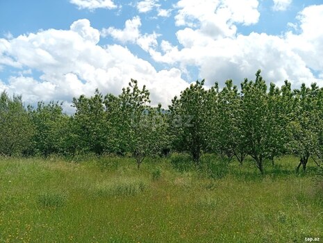 15 sot torpaq sahəsi, Quba r.