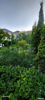 Bağ evi, Ləhic bağları