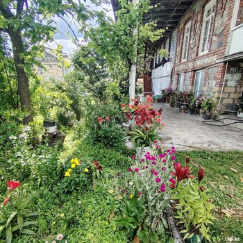 Həyət evi, Şəki r.