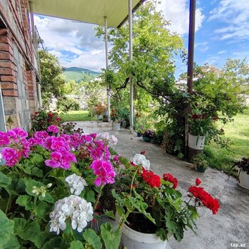 Həyət evi, Şəki r.